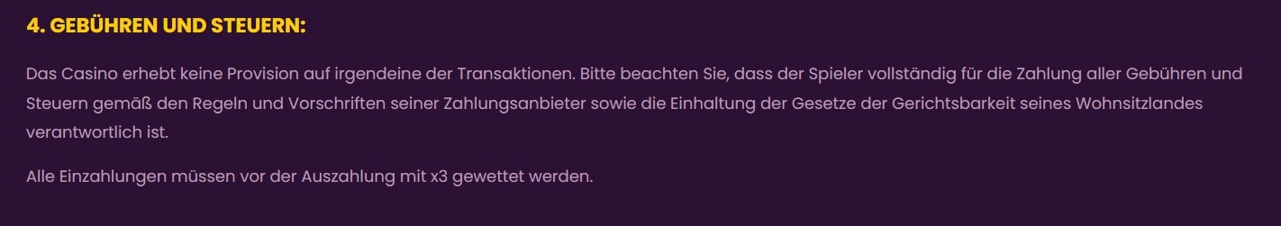 Bizzo Casino_Gebühren und Steuern gemäß AGB