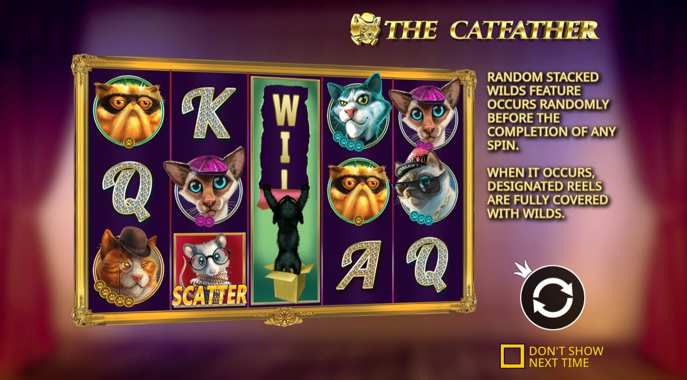 The Catfather Pragmatic